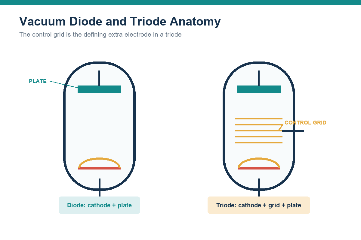 Vacuum diode and triode anatomy showing cathode, plate, and control grid